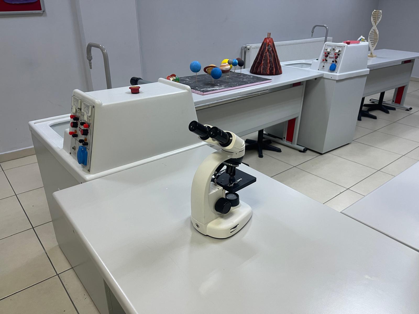 YY FEN LAB 3